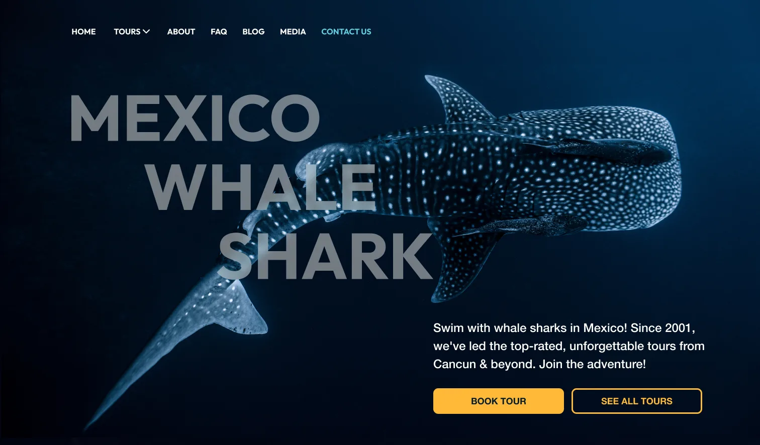 Mexico Whale Shark desktop homepage hero