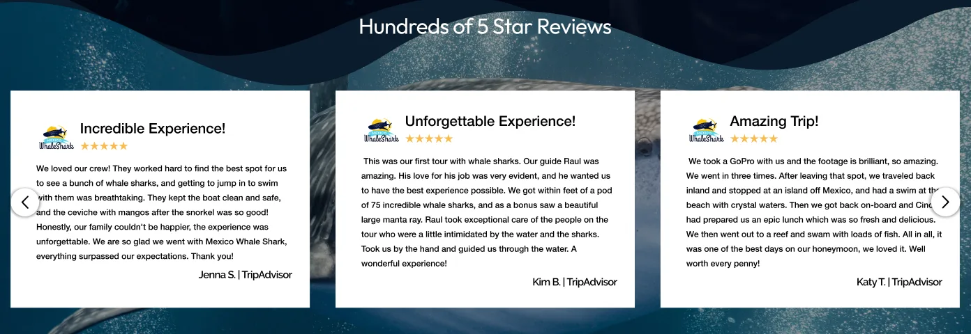 Five-star review carousel