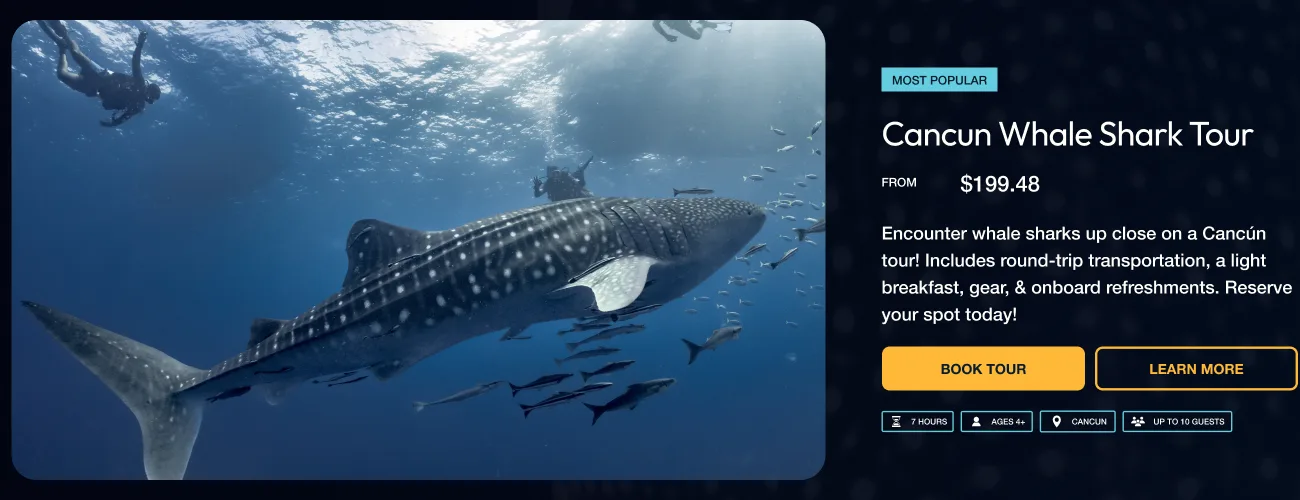 Featured Cancun Whale Shark Tour