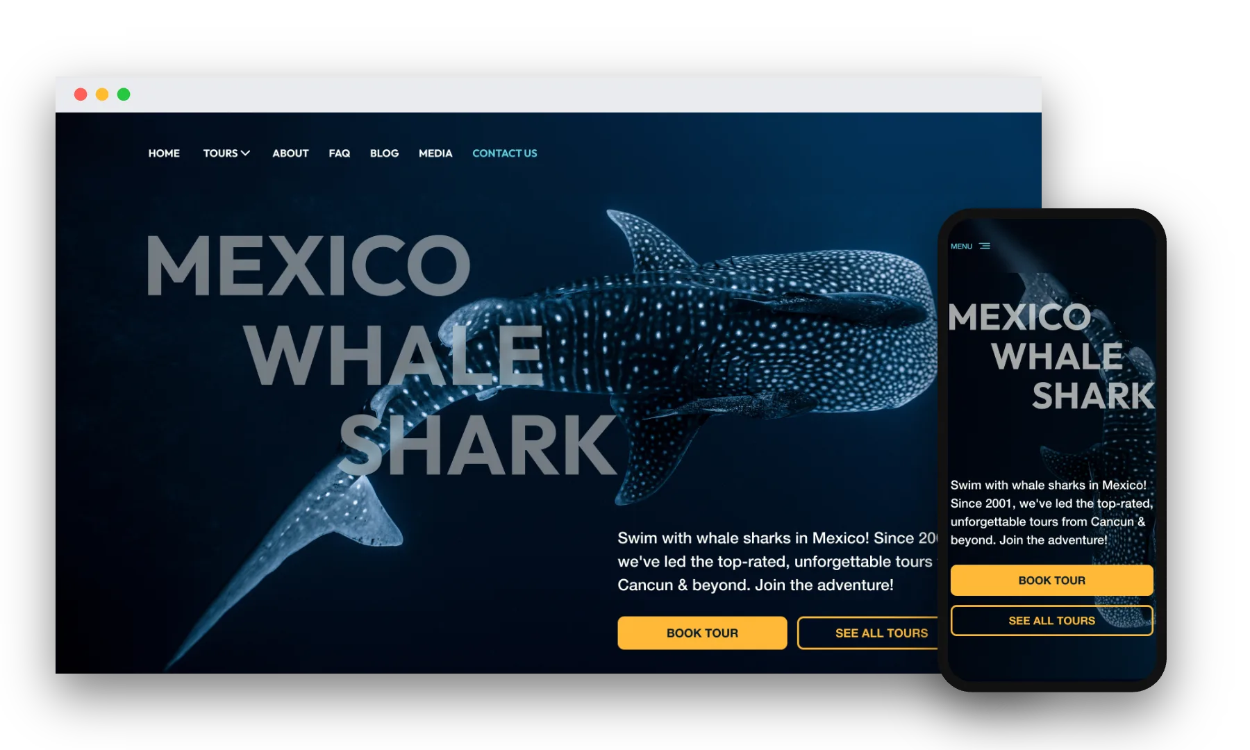 Mexico Whale Shark device mockup